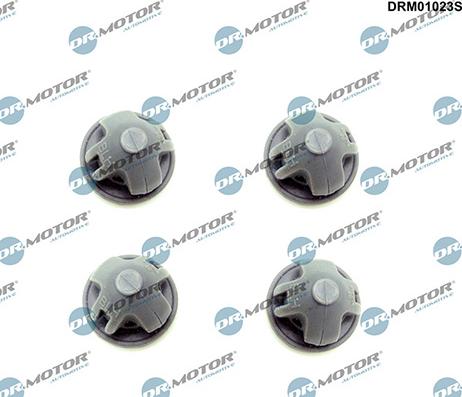 Lizarte DRM01023S - Limitator, acoperire motor - allinparts.ro