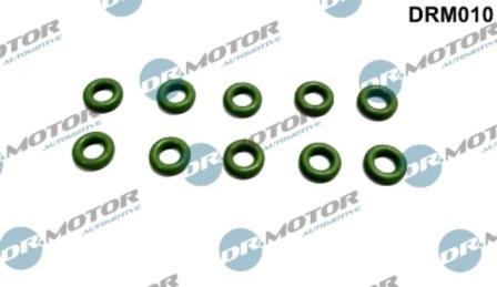 Lizarte DRM010 - Etansare, suport injector - allinparts.ro