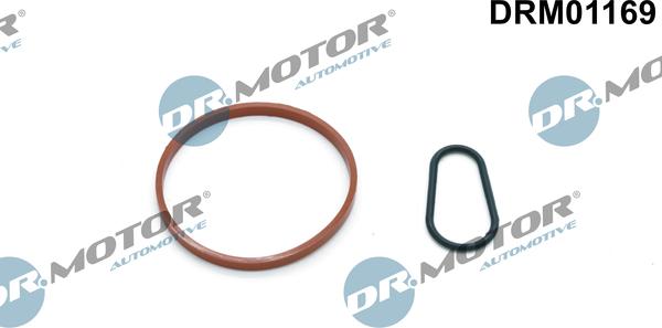 Lizarte DRM01169 - Set etansare, pompa vacuum allinparts.ro
