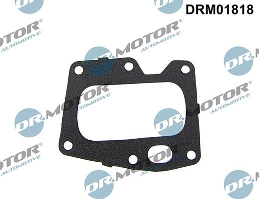 Lizarte DRM01818 - Garnitura, ventil AGR allinparts.ro