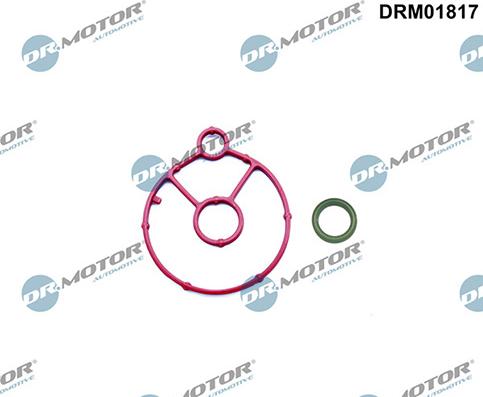 Lizarte DRM01817 - Set garnituri, radiator ulei allinparts.ro