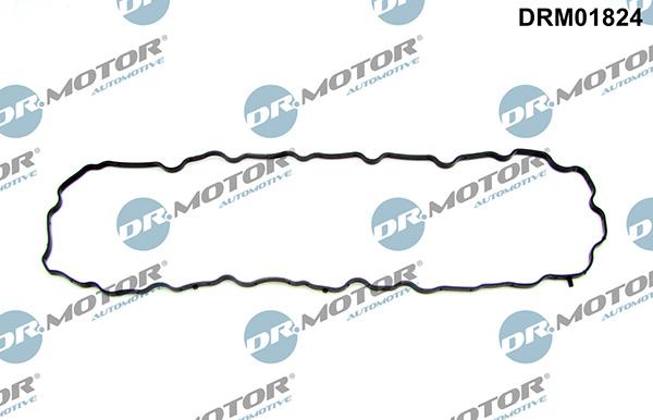 Lizarte DRM01824 - Garnitura baie ulei allinparts.ro