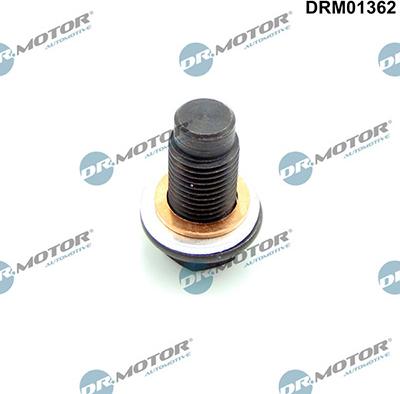 Lizarte DRM01362 - Surub de golire,baia de ulei allinparts.ro