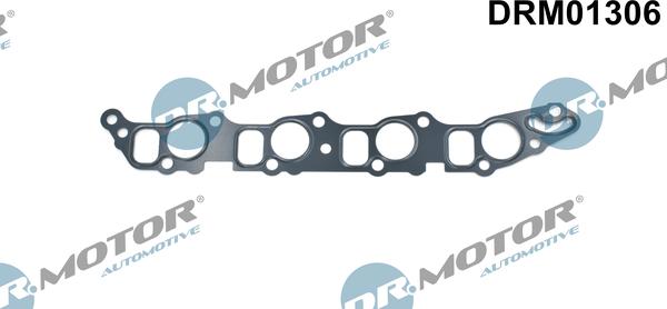 Lizarte DRM01306 - Garnitura, galerie admisie allinparts.ro