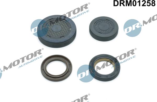 Lizarte DRM01258 - Dop, gaura de montaj ax culbutori - allinparts.ro