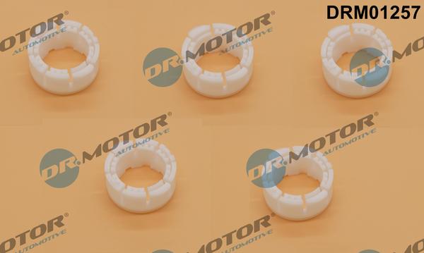 Lizarte DRM01257 - Bucsa,levier schimbare viteze - allinparts.ro