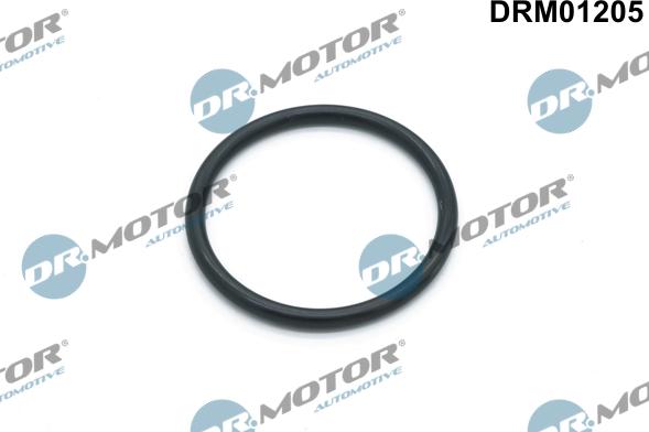 Lizarte DRM01205 - Garnitura, pompa de apa - allinparts.ro