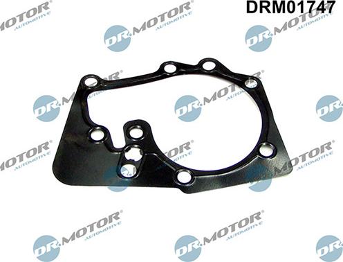Lizarte DRM01747 - Garnitura, pompa de apa - allinparts.ro