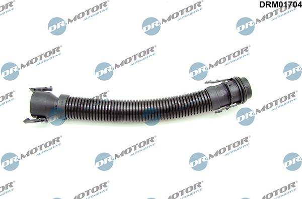 Lizarte DRM01704 - Furtun,aerisire bloc motor - allinparts.ro