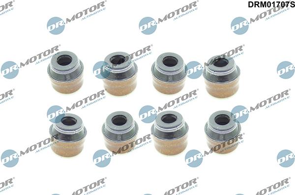Lizarte DRM01707S - Etansare, supape - allinparts.ro