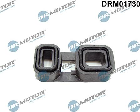 Lizarte DRM01730 - Etansare ulei, transmisie automata - allinparts.ro