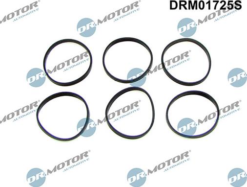 Lizarte DRM01725S - Set garnituri, galerie admisie - allinparts.ro