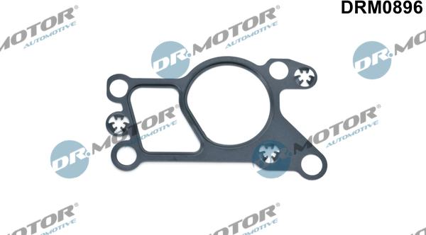 Lizarte DRM0896 - Garnitura, ventil AGR allinparts.ro