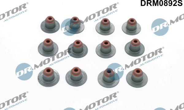 Lizarte DRM0892S - Etansare, supape allinparts.ro