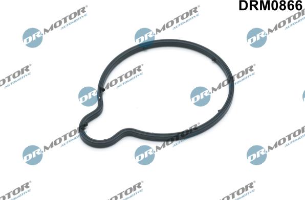 Lizarte DRM0866 - Garnitura, pompa vacuum allinparts.ro