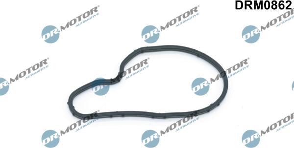 Lizarte DRM0862 - Garnitura, pompa vacuum allinparts.ro