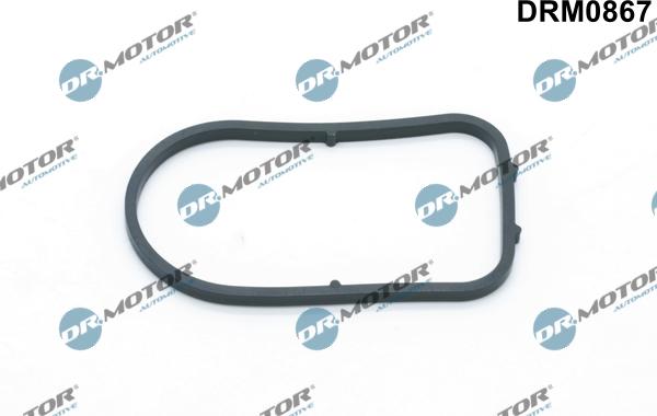 Lizarte DRM0867 - Garnitura, pompa vacuum - allinparts.ro
