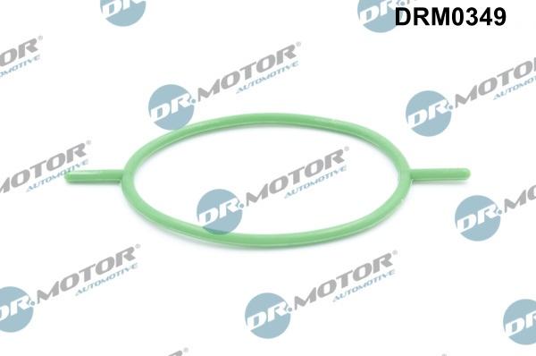 Lizarte DRM0349 - Garnitura, pompa vacuum allinparts.ro