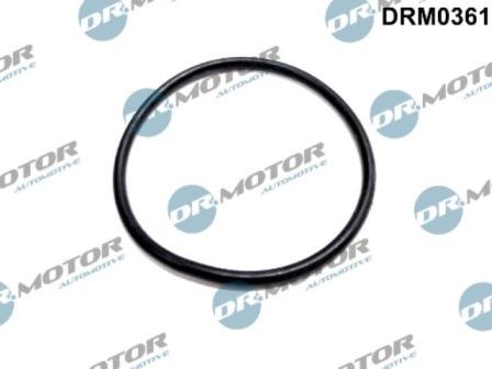 Lizarte DRM0361 - Garnitura, pompa vacuum - allinparts.ro