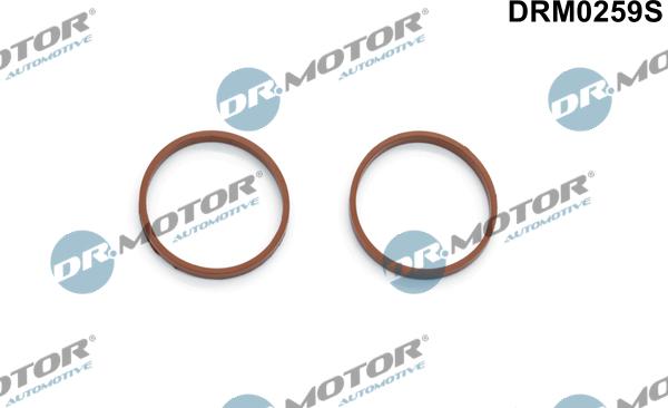 Lizarte DRM0259S - Set garnituri, galerie admisie allinparts.ro