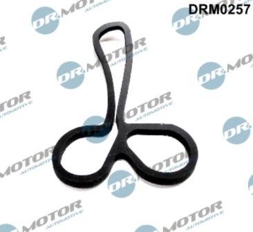 Lizarte DRM0257 - Etansare, racire ulei - allinparts.ro