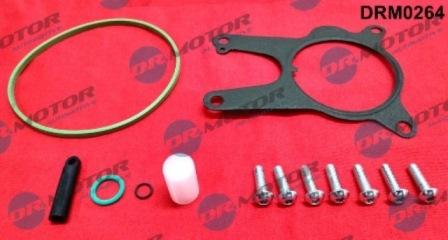 Lizarte DRM0264 - Set reparatie, pompa vacuum (Siste frana) allinparts.ro