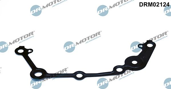 Lizarte DRM02124 - Garnitura, distributie allinparts.ro