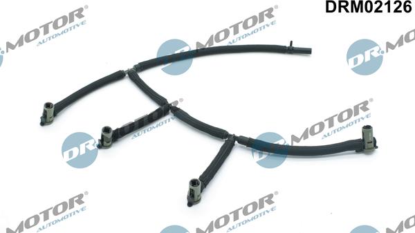 Lizarte DRM02126 - Garnituri, carcasa filtru ulei - allinparts.ro
