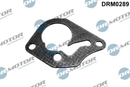 Lizarte DRM0289 - Garnitura, pompa vacuum allinparts.ro