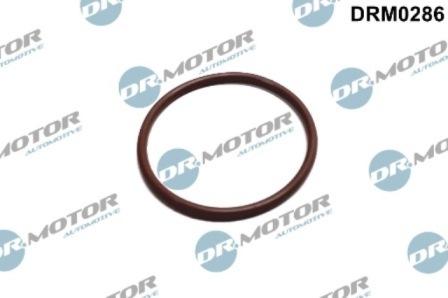 Lizarte DRM0286 - Garnitura, pompa combustibil allinparts.ro