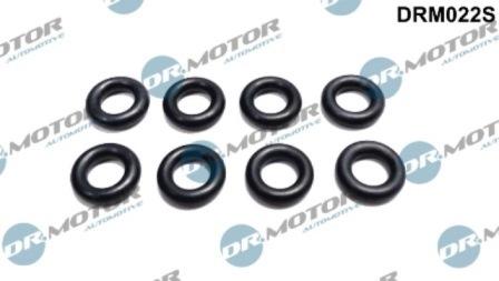 Lizarte DRM022S - Etansare, suport injector allinparts.ro