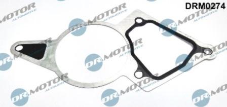 Lizarte DRM0274 - Garnitura, pompa vacuum allinparts.ro