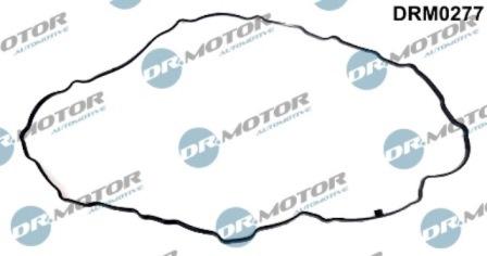 Lizarte DRM0277 - Garnitura, capac supape - allinparts.ro