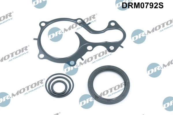 Lizarte DRM0792S - Set garnituri, carter - allinparts.ro