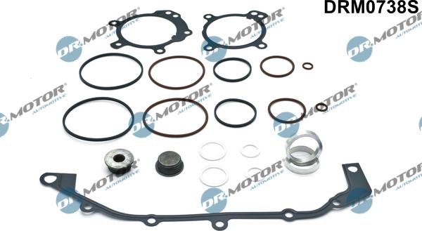 Lizarte DRM0738S - Set garnituri, carcasa distributie - allinparts.ro