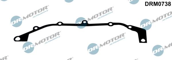 Lizarte DRM0738 - Garnitura, distributie - allinparts.ro