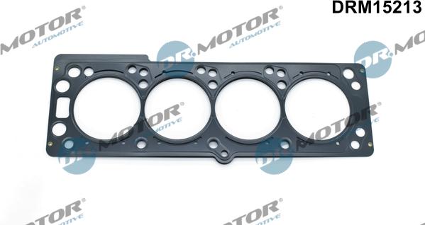 Lizarte DRM15213 - Garnitura, chiulasa - allinparts.ro