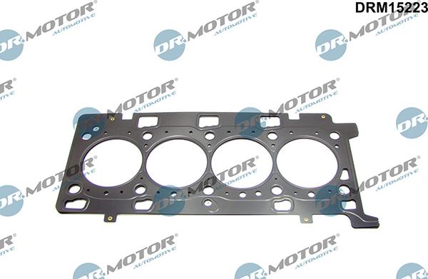 Lizarte DRM15223 - Garnitura, chiulasa allinparts.ro