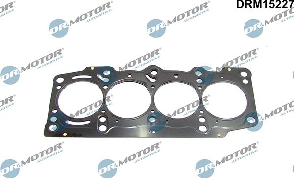 Lizarte DRM15227 - Garnitura, chiulasa - allinparts.ro