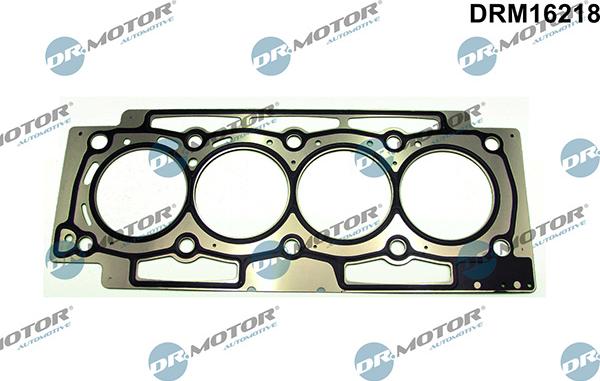 Lizarte DRM16218 - Garnitura, chiulasa allinparts.ro