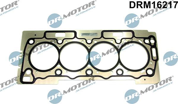 Lizarte DRM16217 - Garnitura, chiulasa - allinparts.ro