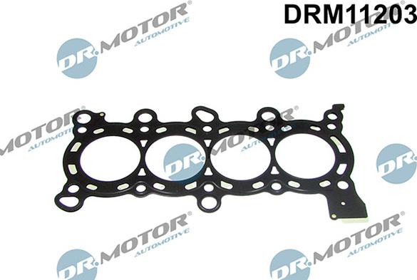 Lizarte DRM11203 - Garnitura, chiulasa allinparts.ro