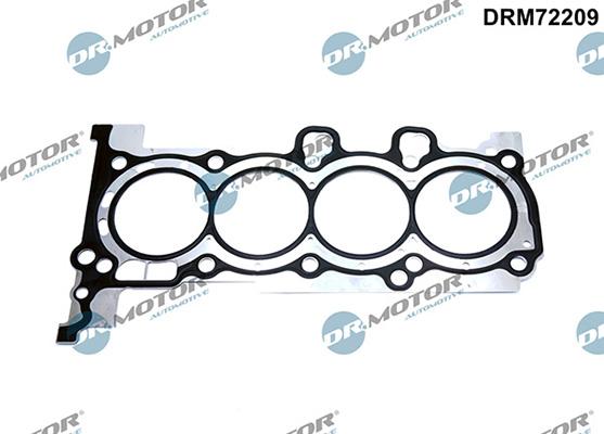 Lizarte DRM72209 - Garnitura, chiulasa - allinparts.ro