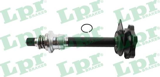 LPR DS61191 - Arbore, diferential - allinparts.ro