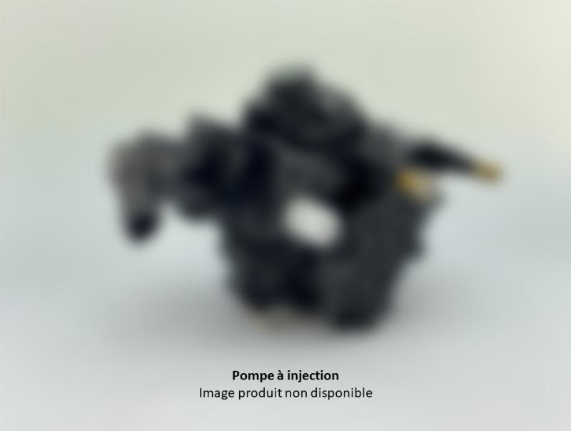 LRPI 515791 - Pompa de inalta presiune allinparts.ro