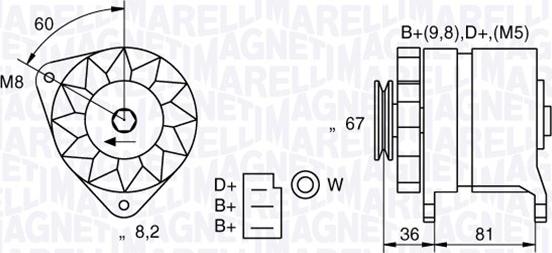 Magneti Marelli 054022384010 - Generator / Alternator - allinparts.ro