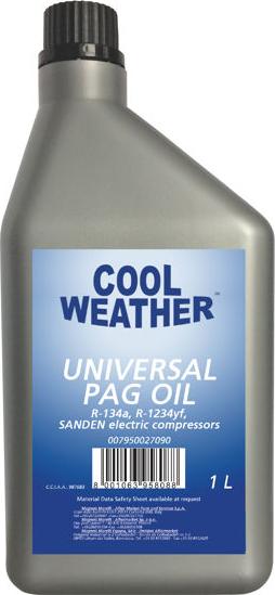 Magneti Marelli 007950027090 - Ulei de motor allinparts.ro