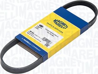 Magneti Marelli 341200005669 - Curea transmisie cu caneluri allinparts.ro