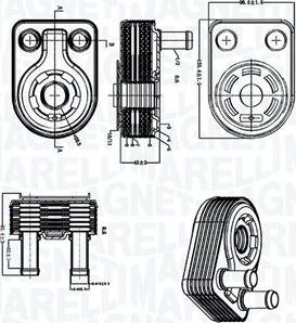 Magneti Marelli 350300005500 - Radiator ulei, ulei motor - allinparts.ro