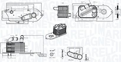 Magneti Marelli 350300006800 - Radiator ulei, ulei motor - allinparts.ro